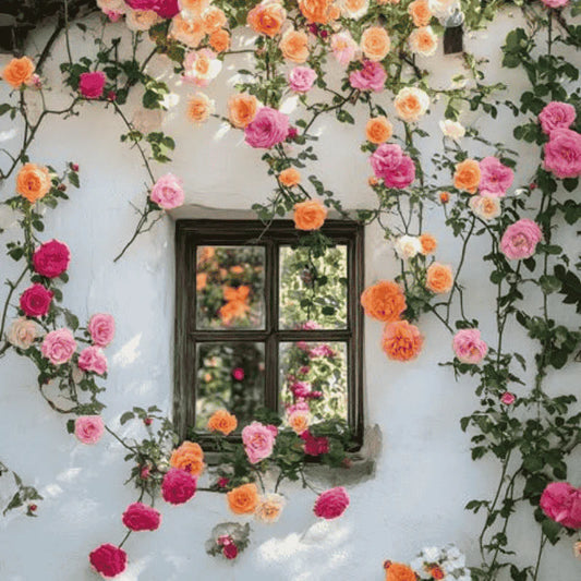 🌹 Mixed-color Climbing Rose—Year-Round Blooming (UK Imported)
