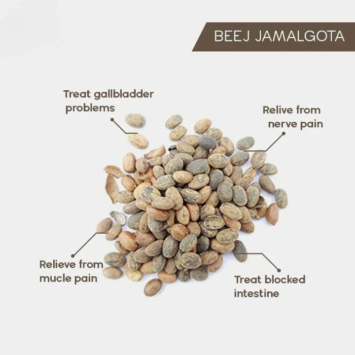 Jamalgota Powder for Hair Growth, Natural Skin & Hair Solution 🌱✨ (Buy 1 Get 1 Free🔥🔥)